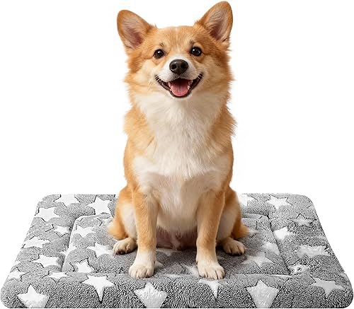 Tapete de cama para perros  Cómoda almohadilla multiusos para jaula de perro y cama para perros y gatos  Tapete suave para jaula de perro y cama