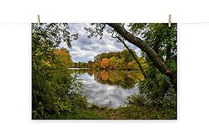 Nature's Fiery Spectacle: 'Lost in Autumn Color' Art Print