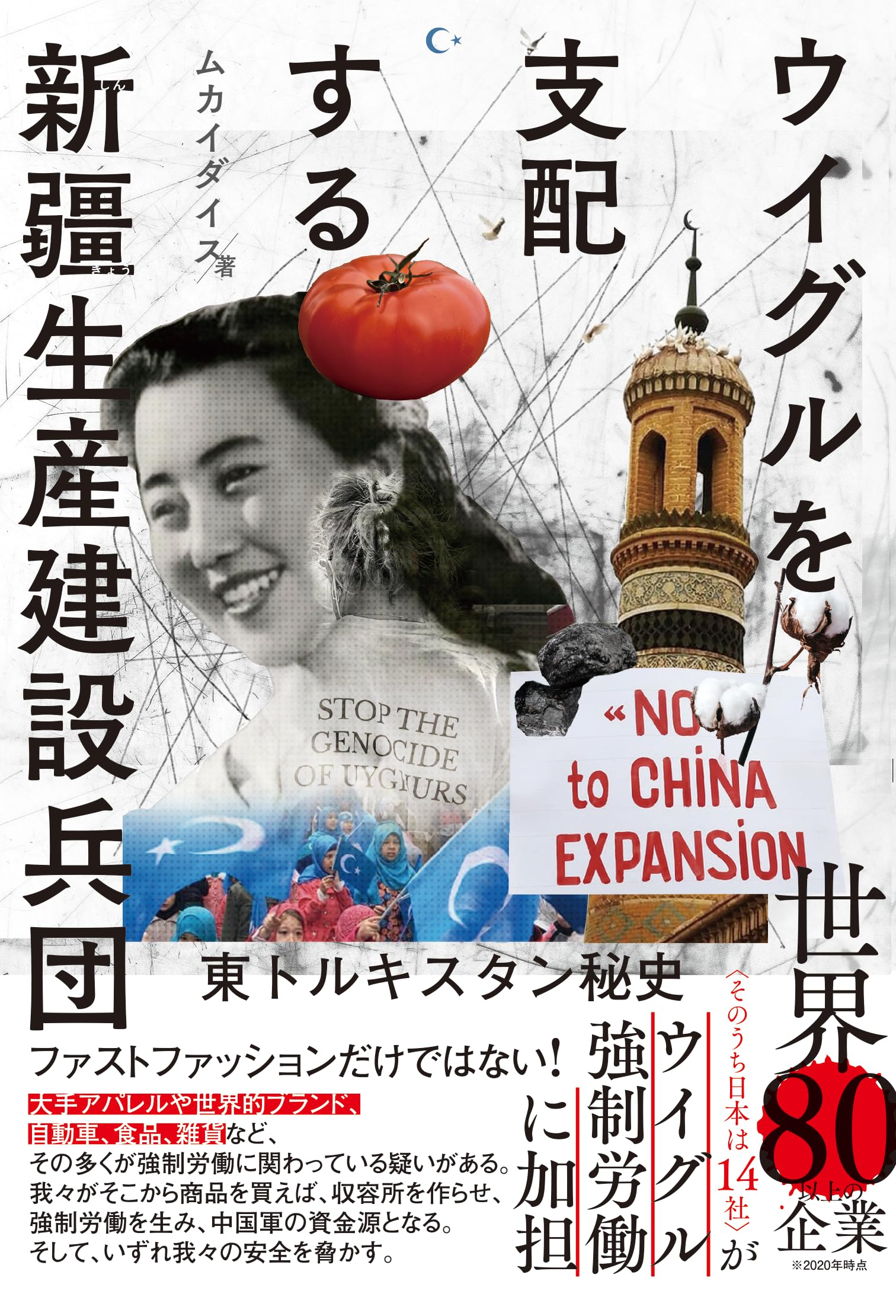 新疆生产建设兵团的体制与运行研究　Amazon4万円 81GqYjfyYrL.jpg