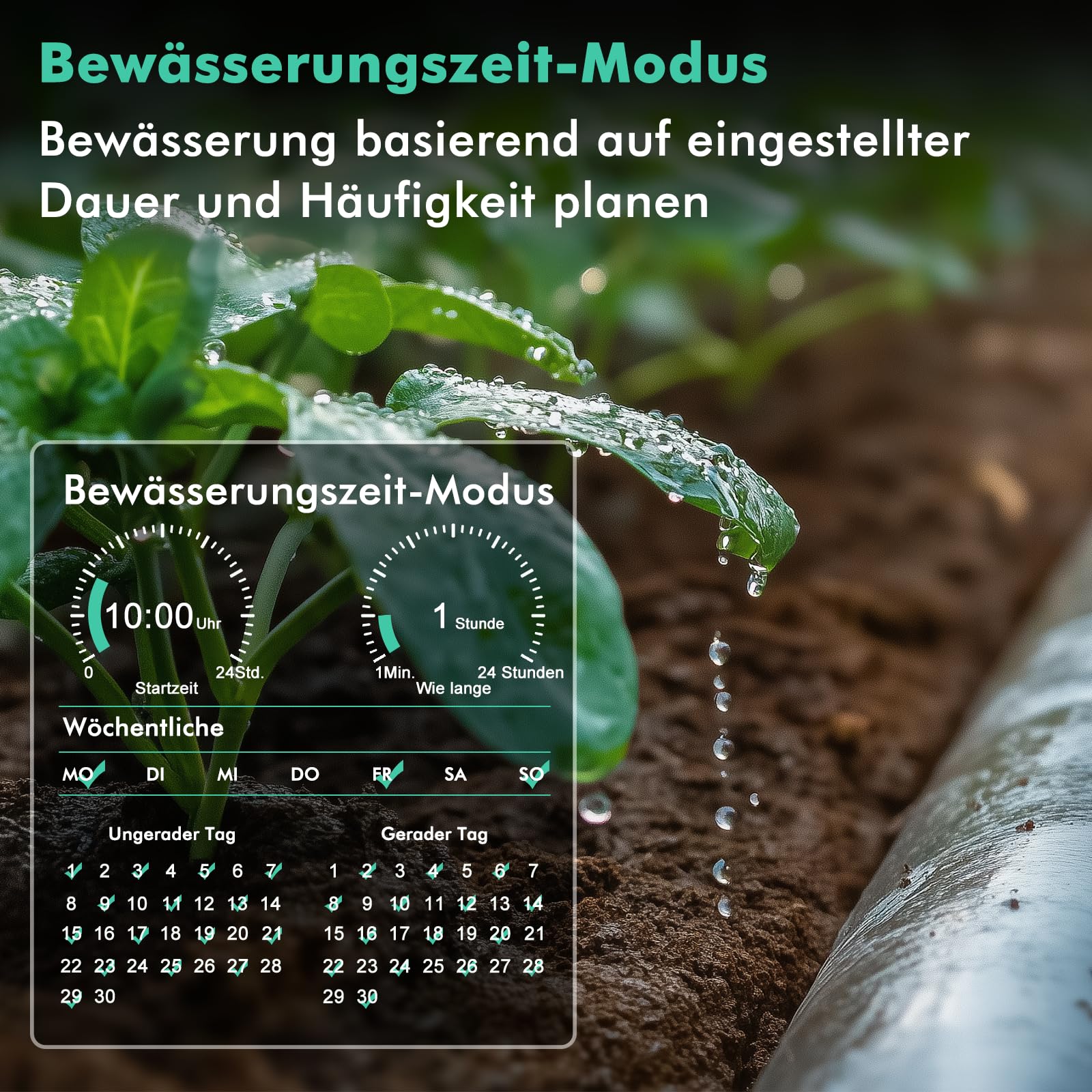 RESTMO Bewässerungscomputer 1 Ausgänge, Bluetooth Bewässerungstimer | App-Steuerung, 3 Modi (auto/manuell/Regenpause), bis zu 11:59 Std. Bewässerung, für Garten & Rasen
