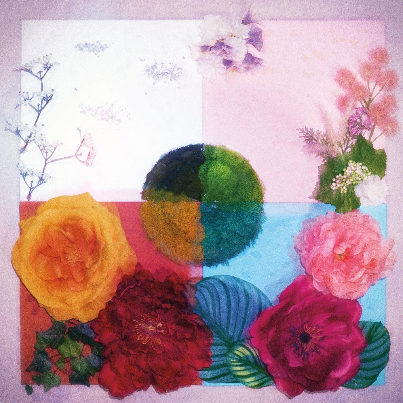 P.O.C. (Proof of Concept) [VINYL]
