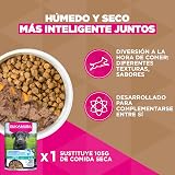 Ver la foto 7