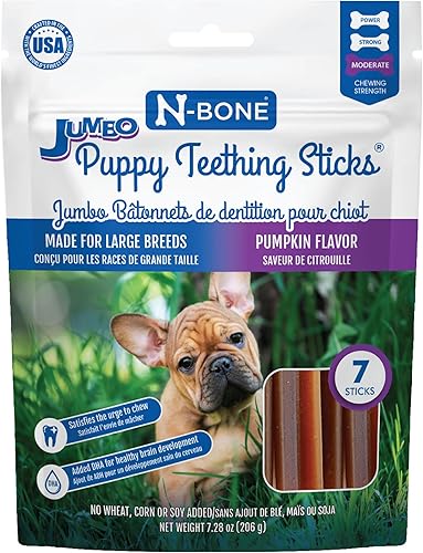 N-Bone Jumbo - Palitos de dentición para cachorros con sabor a calabaza, 7 unidades, bolsa de 7.28 onzas