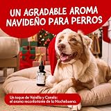 Ver la foto 2