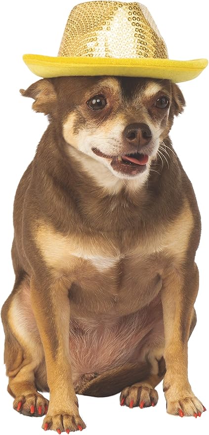 Fedora hat for dogs Clearance