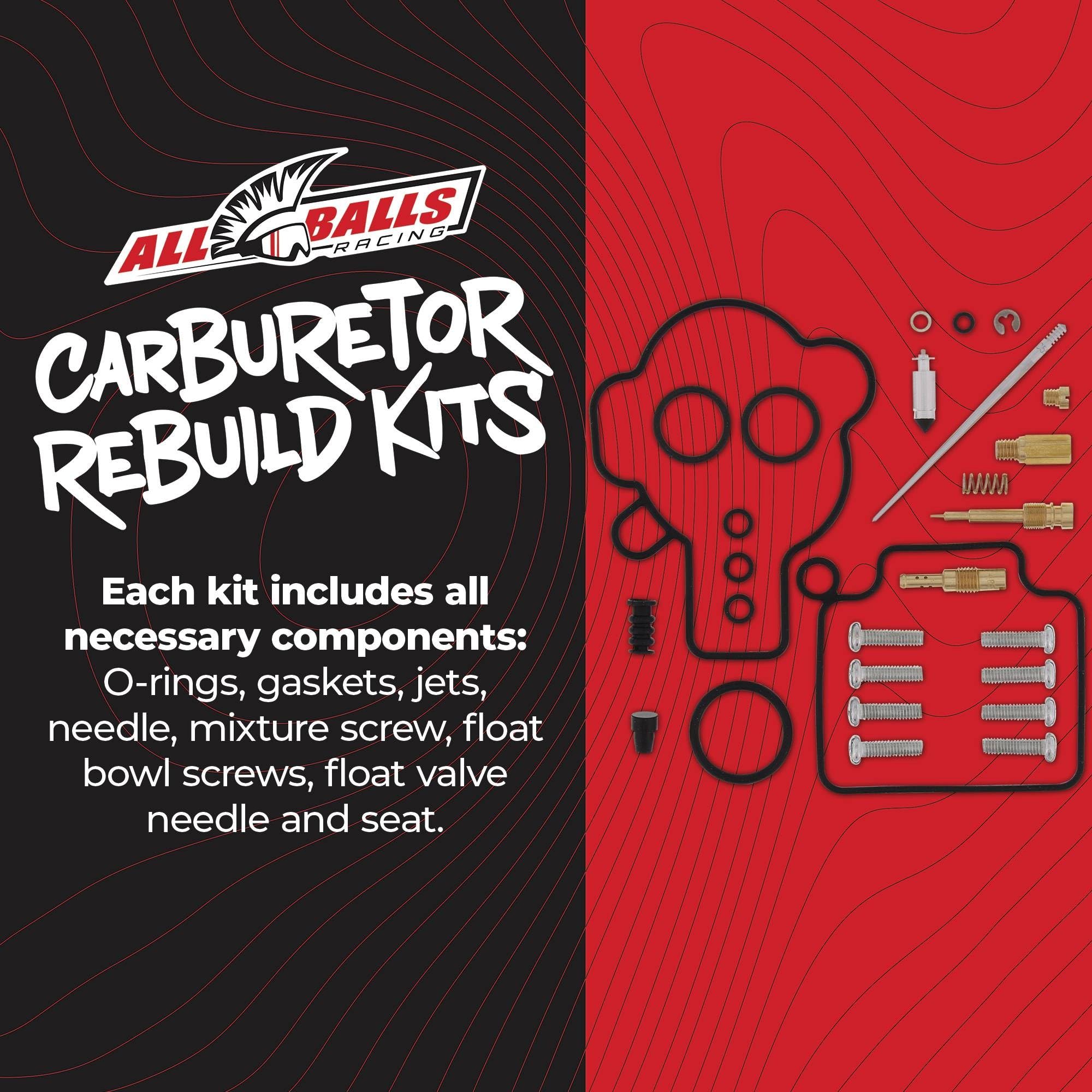 Amazon.com: All Balls Racing Carburetor Rebuild Kit for Honda ATV