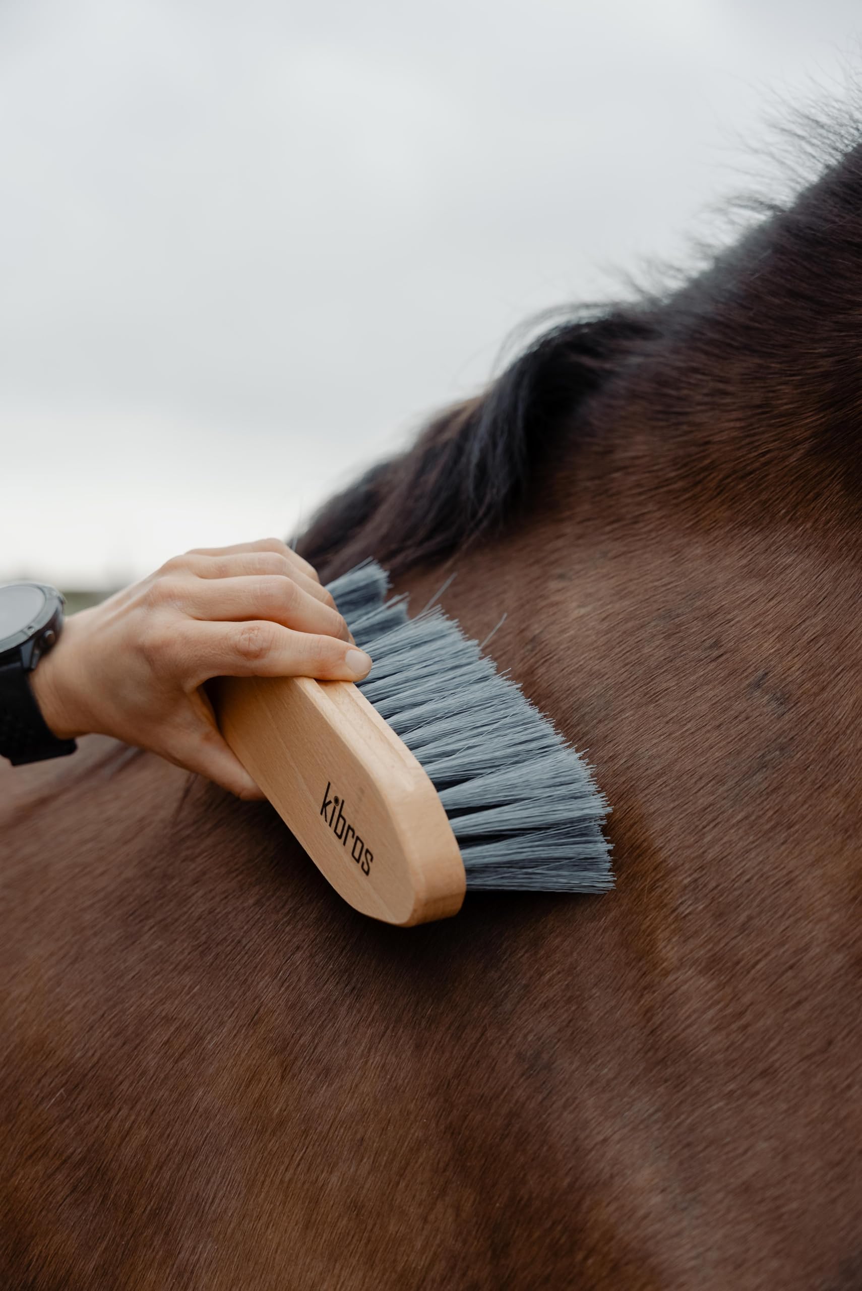 KIBROS LOTEQUIT6 Kit completo per la cura del cavallo | Set di 6 spazzole da equitazione premium per cavalli e pony | Pulizia del corpo, della testa e degli zoccoli | Prodotto in Francia | KIBROS