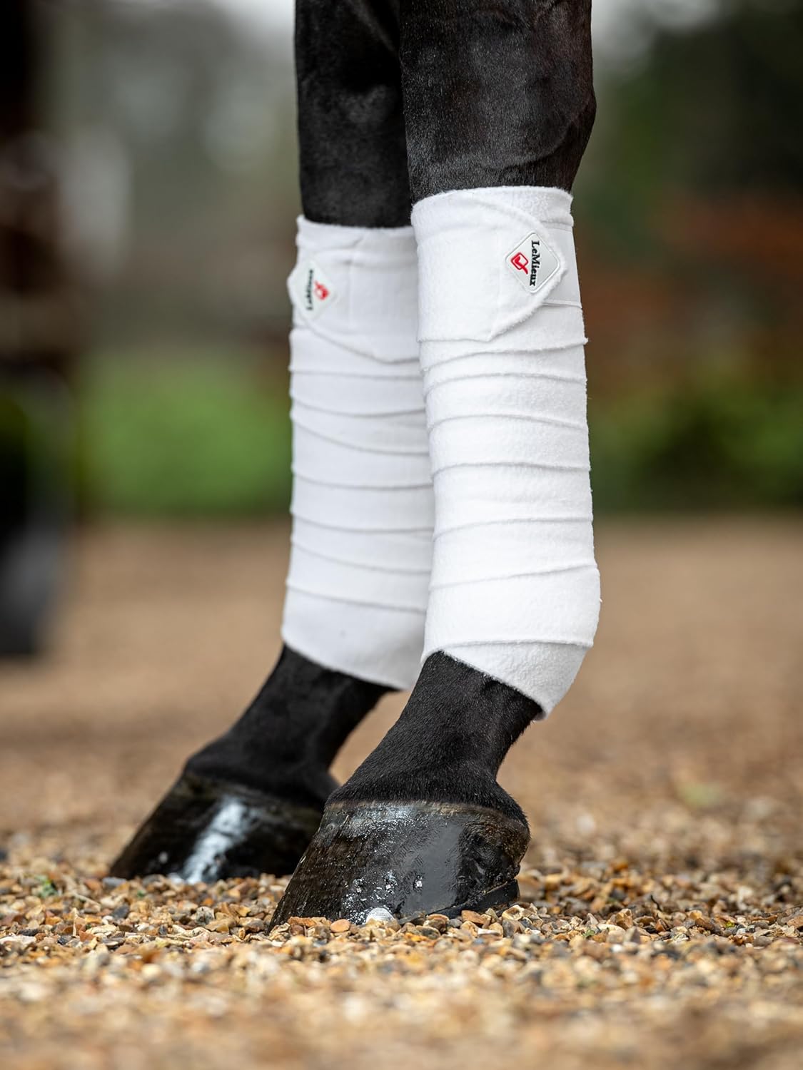 LeMieux Classic Polo Bandages with Zipped Case - Satin End Detail - 3.8 m Long - Soft Fleece Protection Wraps - Pack of 4