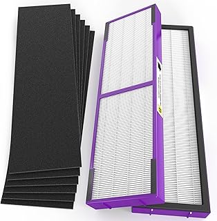 2 Packs Plastic Frame FLT4850PT Replacement Filter B Compatible with AC4825, AC4850, AC4870, CDAP4500, AC4900, AC4300, AP2200 Air Cleaner Purifier