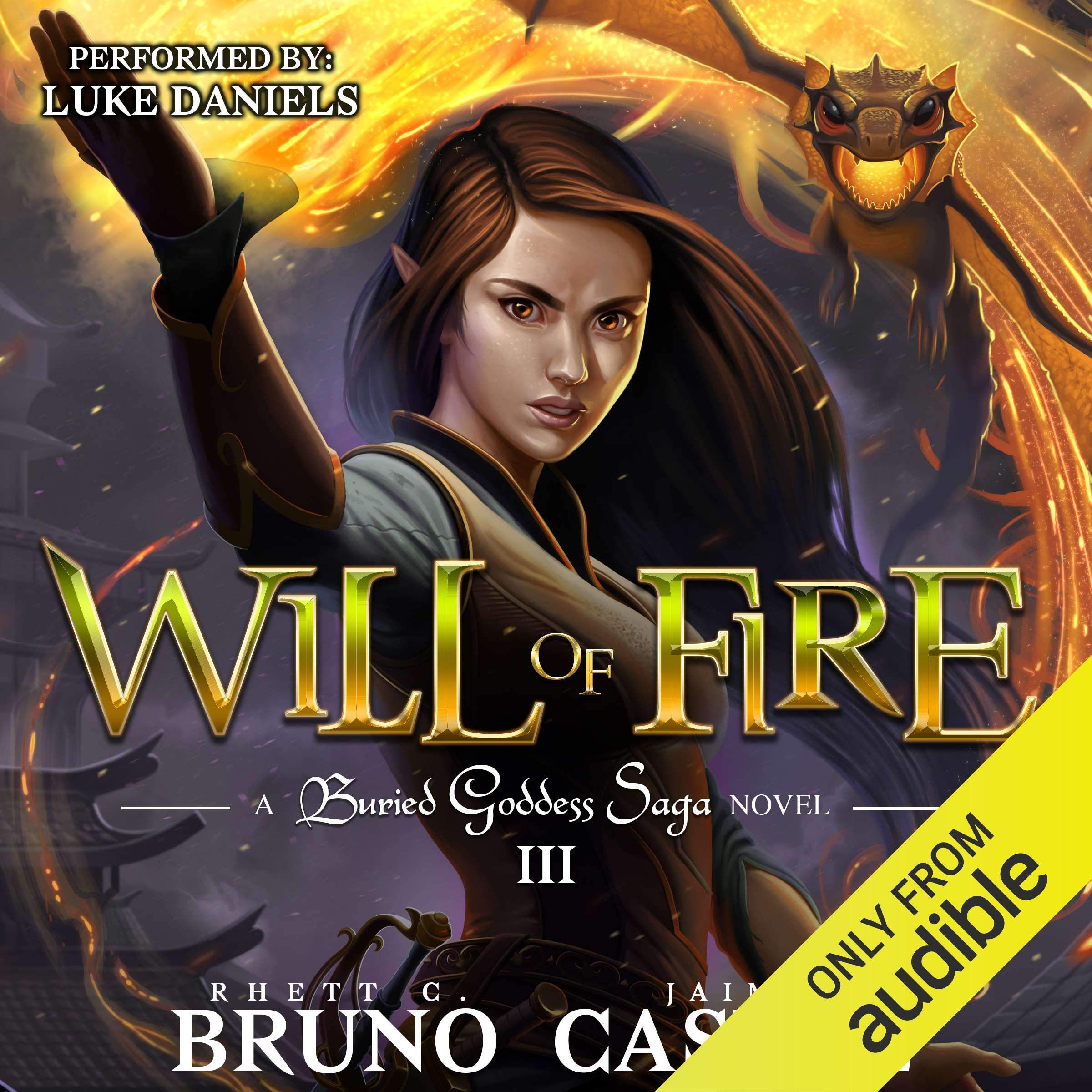Cover art for Will of Fire