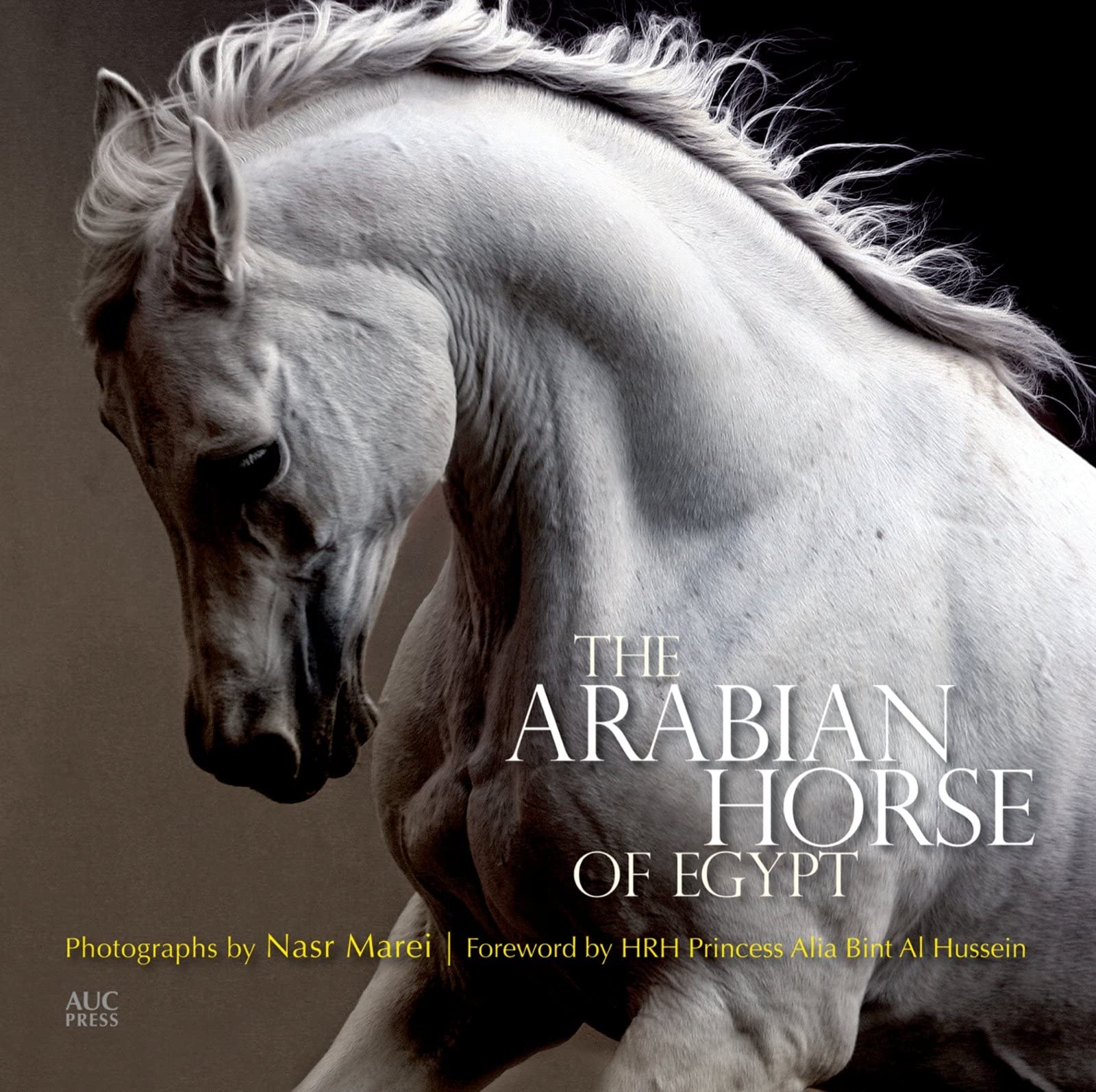 Bloomsbury The Arabian Horse of Egypt