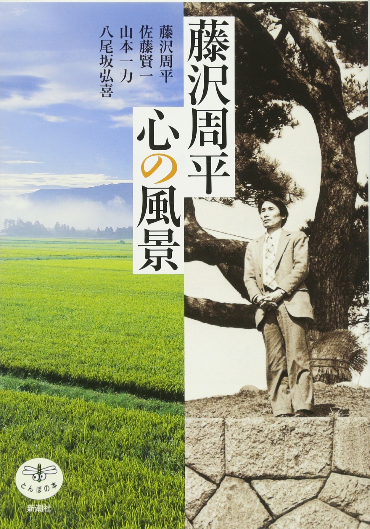 心の風景 81Gs0XzzXNL.jpg