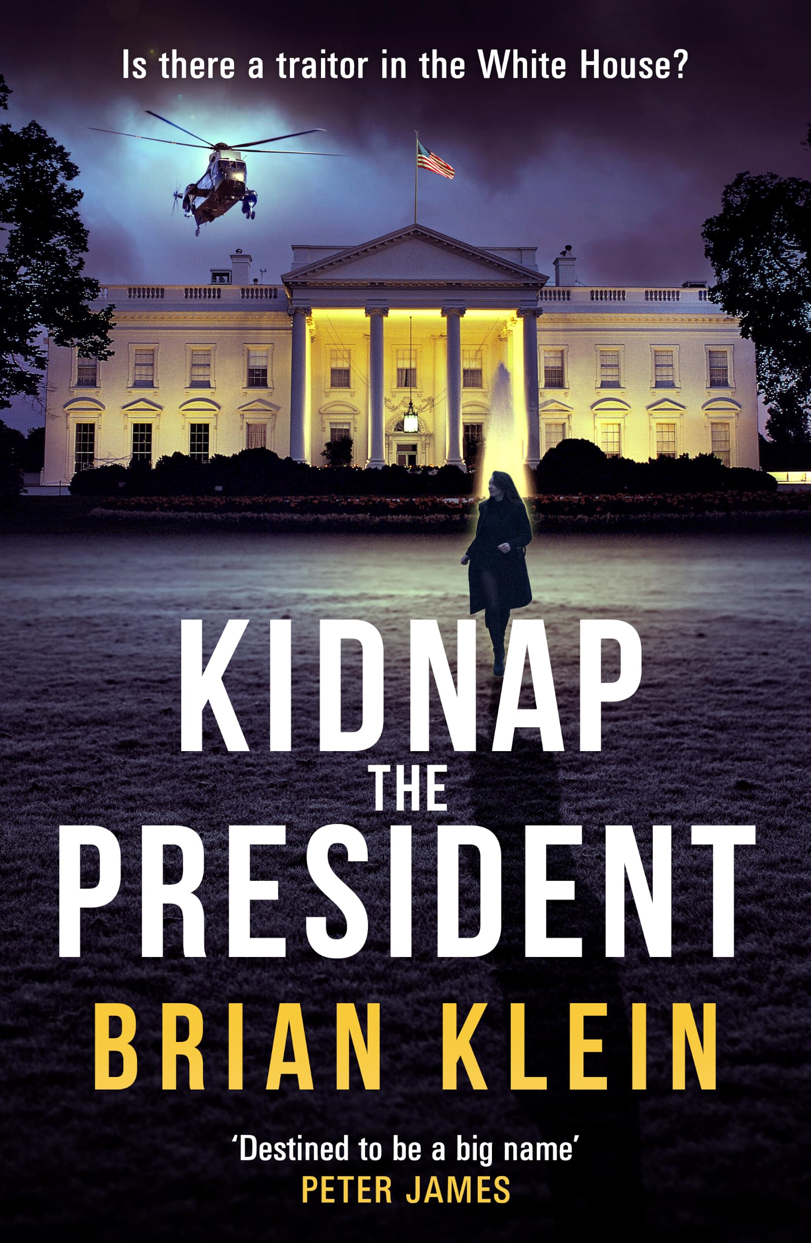 Kidnap the President: The gripping new international thriller from the award-winning TV director