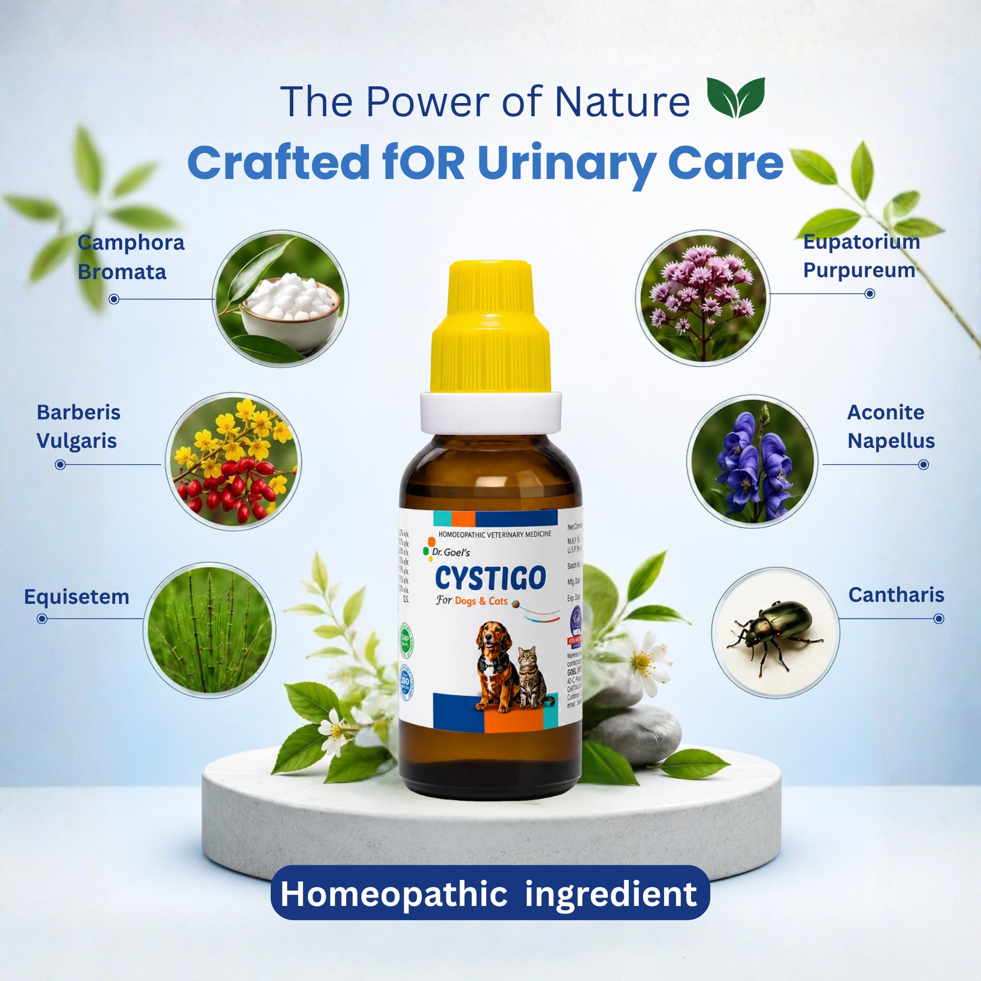 Dr. Goel's CYSTIGO Drops for Dogs & Cats | Homeopathic Urinary Health Support | Pet Bladder & Urinary Tract Wellness Formula | Supports Healthy Urine Flow & Daily Urinary Comfort | Easy Oral Drops — Amazon image 3