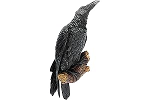 Design Toscano The Raven's Perch Gothic Raven Art Wall Sculpture