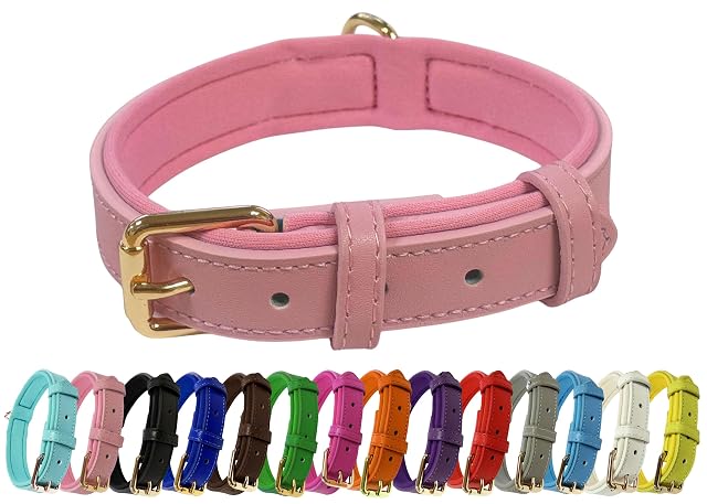 Collar de perro ajustable de piel auténtica vibrante con acolchado de neopreno suave