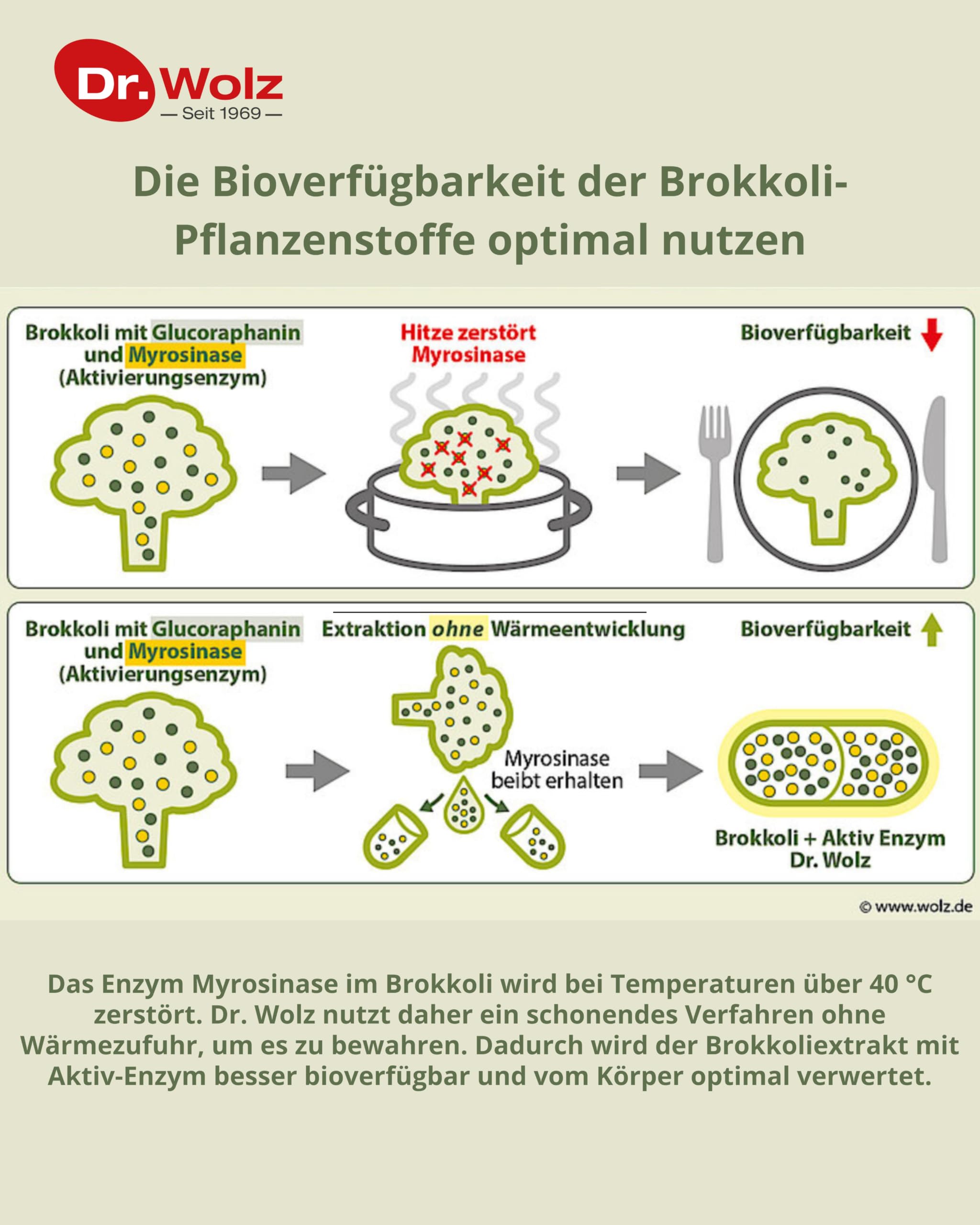 Dr. Wolz Brokkoliextrakt + Aktiv-Enzym Kapseln, 60 St. Kapseln