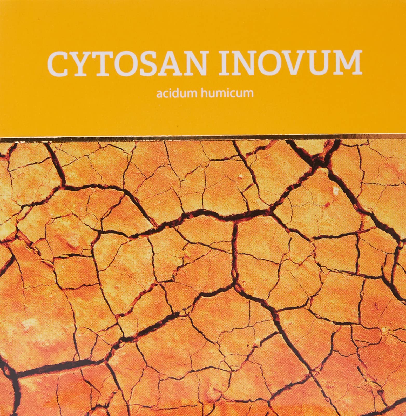 Energy Cytosan Inovum Energy 100 g