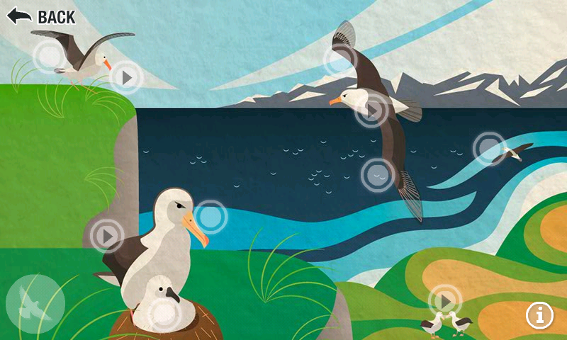 Build A Bird:Amazon.com:Appstore for Android