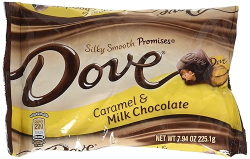 Dove Promesas de chocolate con leche, bolsa de 7.94 onzas