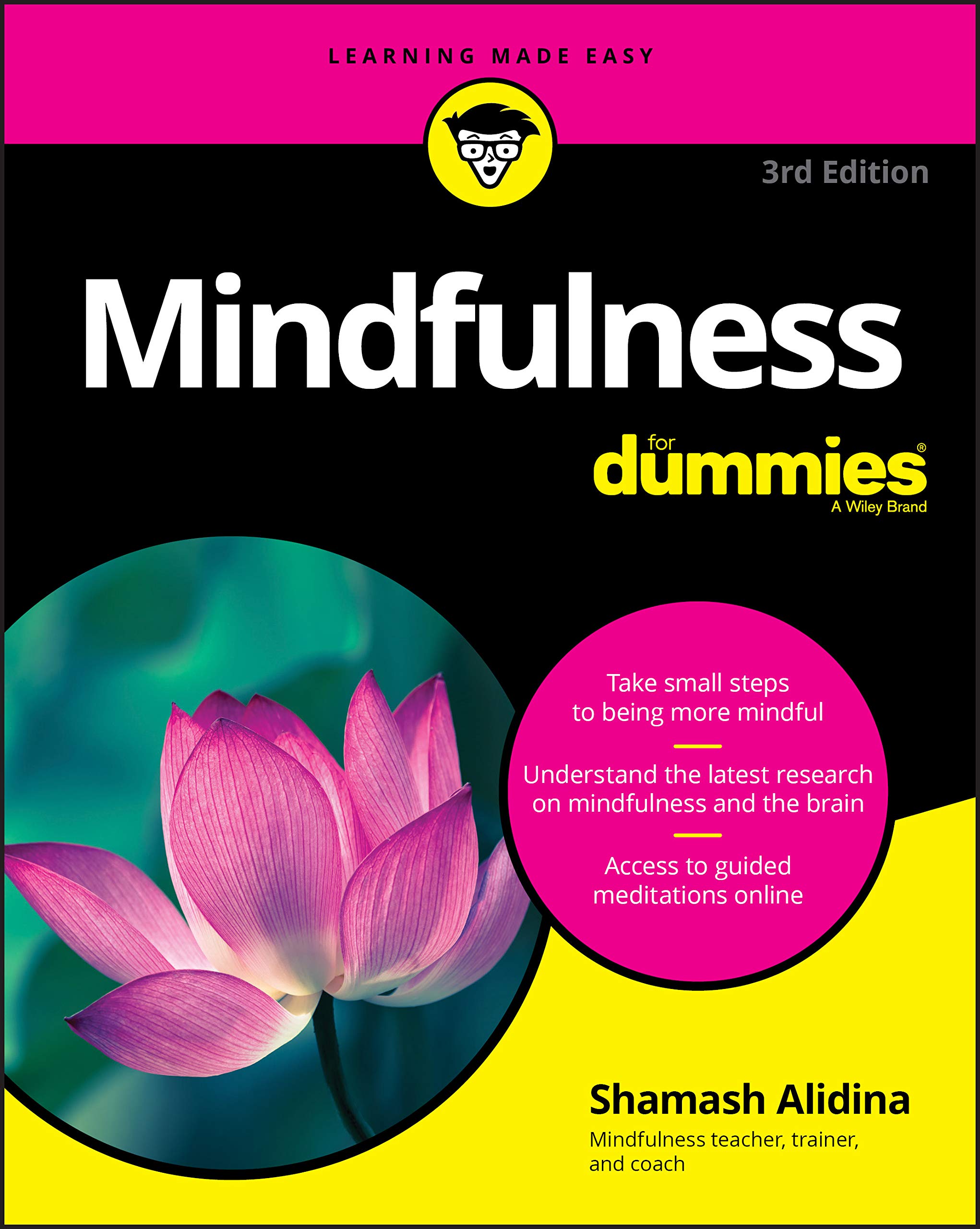 Mindfulness For Dummies Paperback – February 5, 2020
