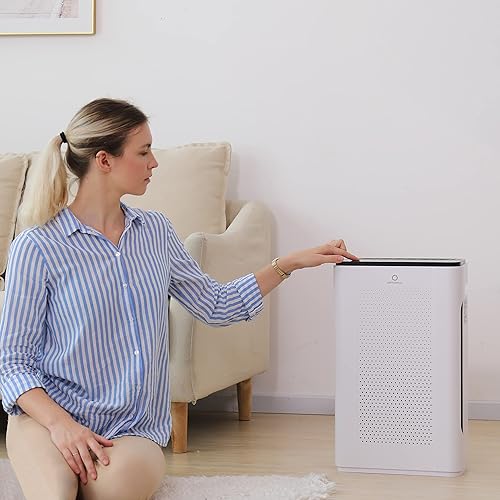 Miniatura 6 de Airthereal Filtro HEPA de repuesto para purificador de aire Pure Morning APH260 (paquete de 1)