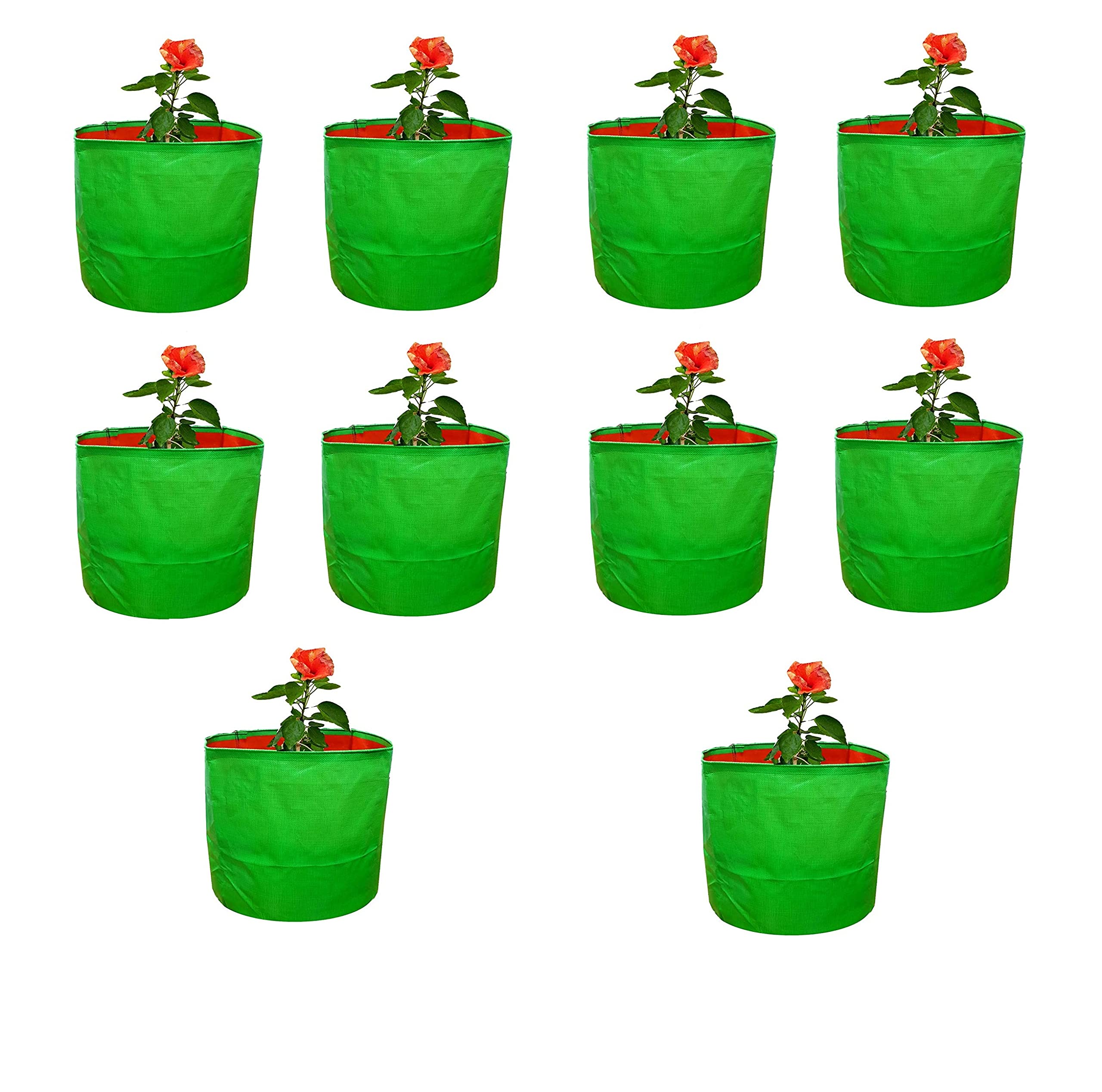 GML GROW GREEN Terrace Gardening Leafy Vegetable Grow Bag (9X 9 Inches, Green) - Pack of 10 (B0C6GLYT9M) Amazon Price History, Amazon Price Tracker