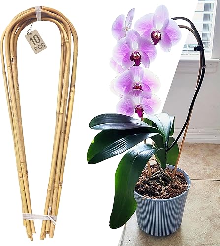 Miniatura 9 de Avalution Paquete de 10 enrejados de bambú para plantas trepadoras de 16 pulgadas, enrejado de escalera de jardín natural en forma de abanico para