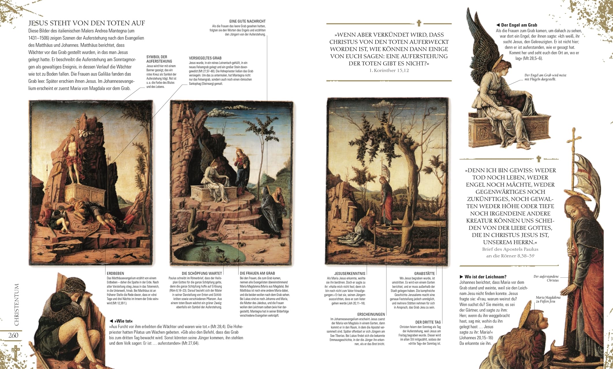 Religionen der Welt: Geschichte, Schriften, Traditionen. Hochwertige Ausstattung mit Goldfolie und über 600 Abbildungen.