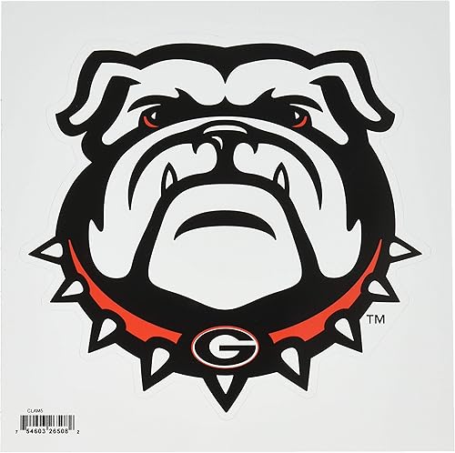 Vista 21 de NCAA, imán con logotipo, 8 pulgadas