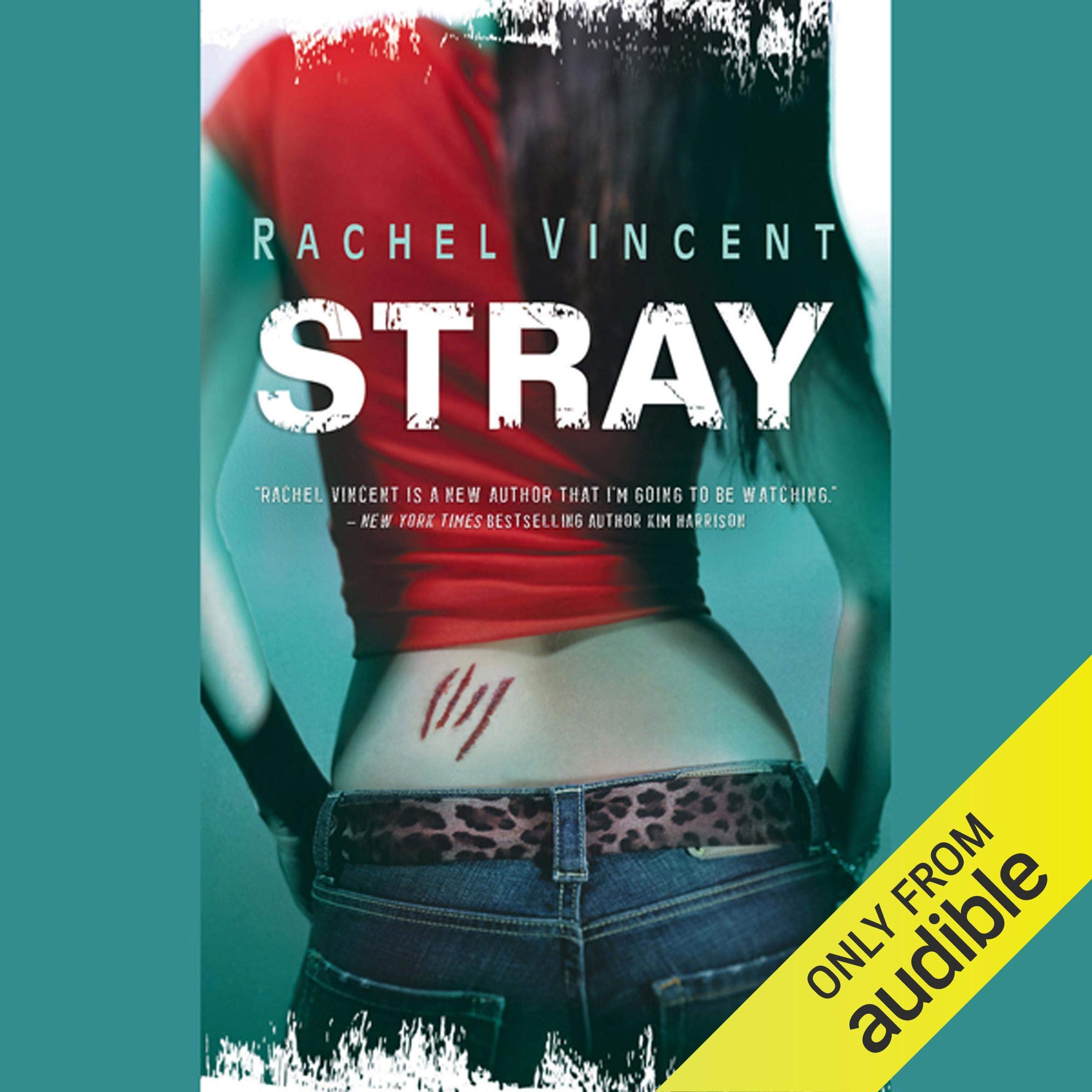 Cover art for Stray