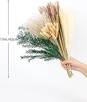 Vista 3 de xin's convey 100 PCS Pampas Grass (Vase Not Included), Dried Flowers Bouquets, Wedding Table Decor, Bedroom, Rustic Farm Decor.(Green)