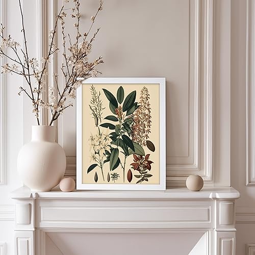 Miniatura 109 de Poster Master Póster vintage de orquídea, estampado de flores retro, arte de pared de plantas exóticas, arte botánico, regalo para hombres y