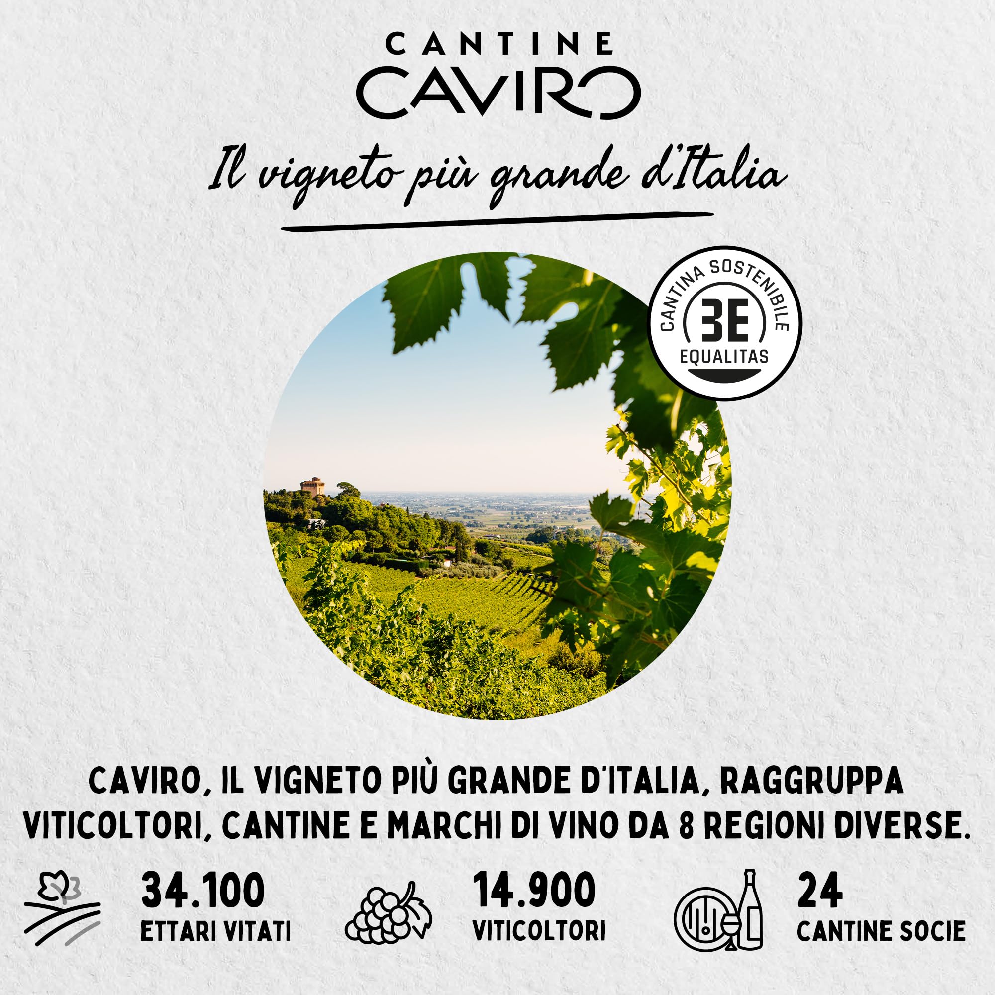Tavernello Bio Organic Vino Rosso d'Italia, Vino Biologico dal Gusto Rotondo e Persistente, 12.5% Vol, Confezione con 15 Brik da 500 ml