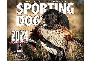 2024 Sporting Dogs Wall Calendar: The Ultimate Hunting Companion