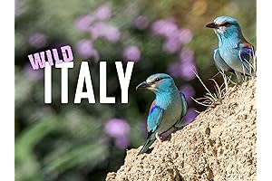 Wild Italy: 72 Hours of Unforgettable True Crime