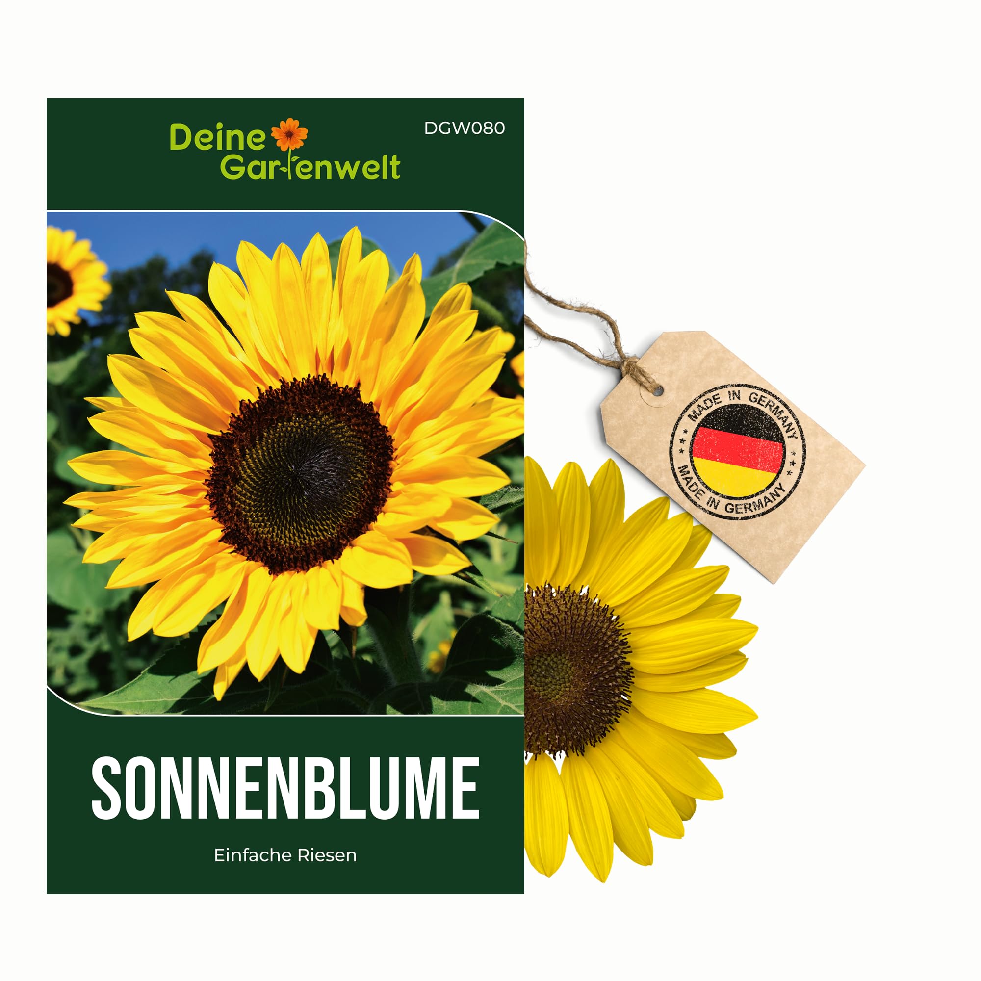 Sonnenblumen Einfache Riesen Samen - Helianthus annuus - Sonnenblumensamen - Blumensamen - Saatgut für 20 Pflanzen