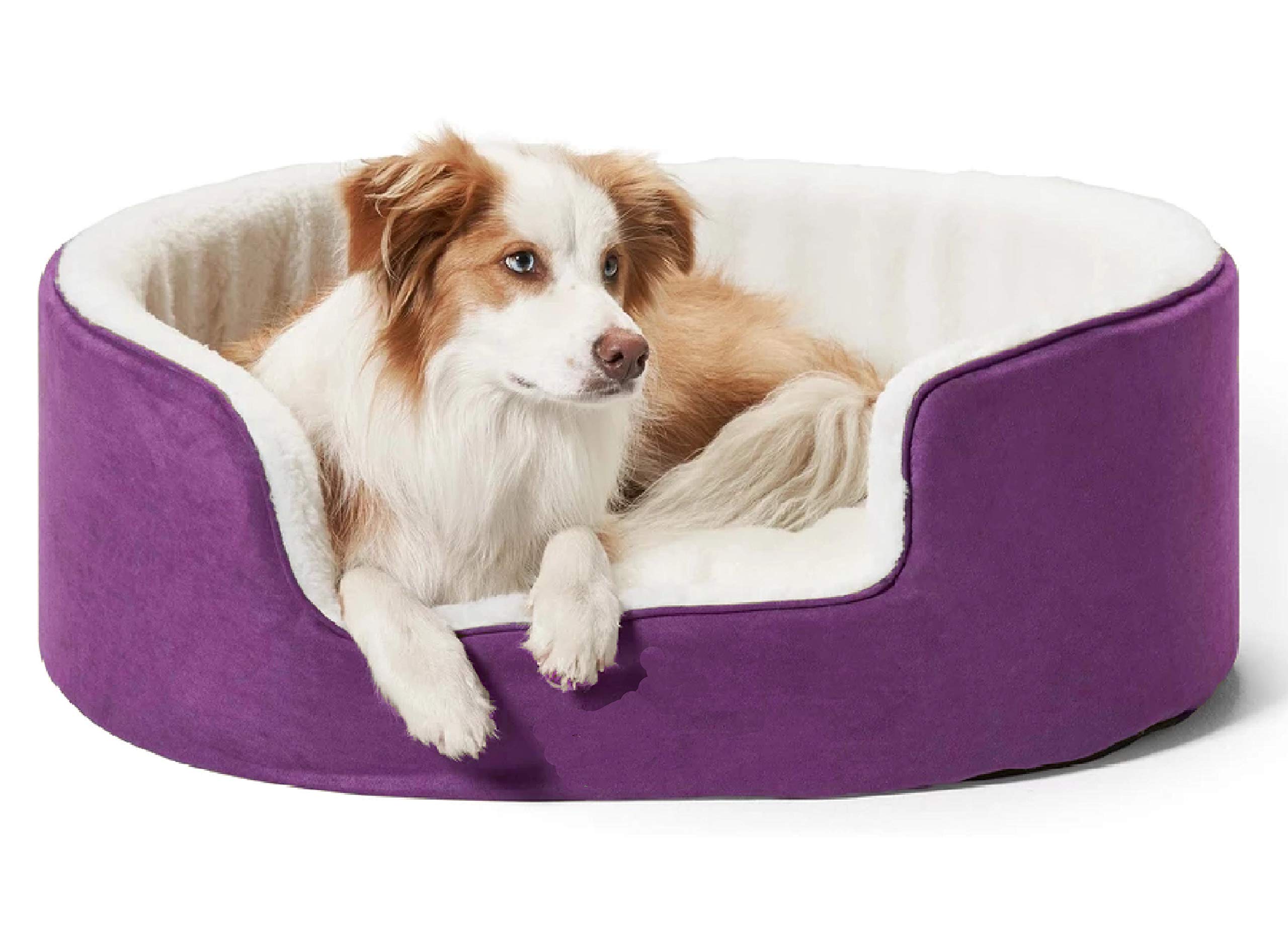 Petslover Warm Fleece Winter Beds Round Shape Reversible Ultra Soft Ethnic Designer (Export Quality) Bed with Cushion Pillow for Dog/Cat (Purple, Small)