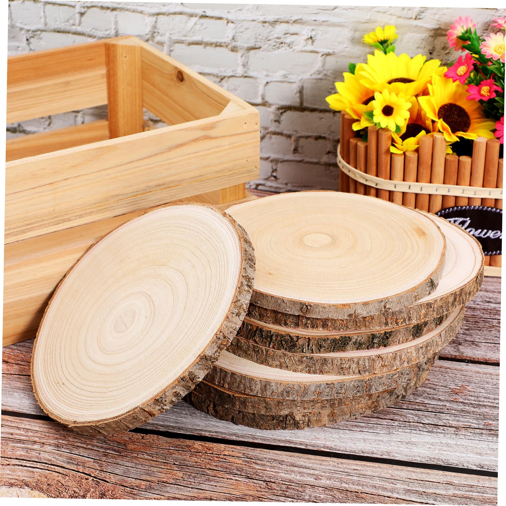 8 Piezas Rodajas de Madera para Manualidades de Discos de Madera sin Acabado Tocón de Corteza de Troncos Decoración de Mesa de Suministros para Manualidades