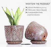 Vista 3 de Gepege 6 Inch Beaded Ceramic Planter Set of 2 with Drainage Hole and Saucer for Plants, Indoor-Outdoor Large Round Succulent Orchid Flower Pot