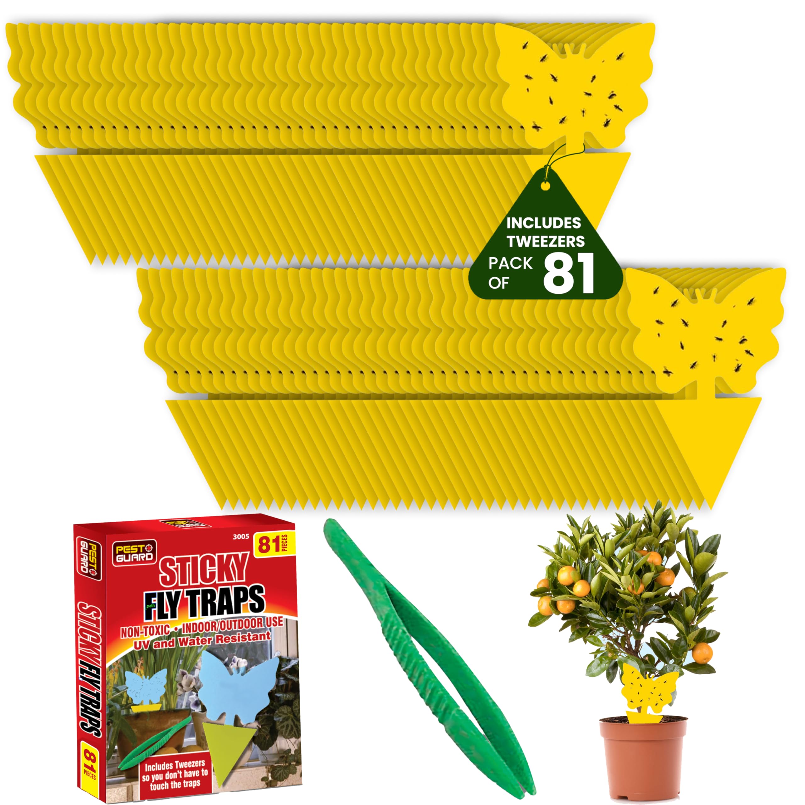 PEST GUARD Fruit Fly Traps Includes Tweezers 81 Pack Double Sided Fungus Gnat Sticky Catcher Fly Catcher for Indoor Outdoor Plants Fruits Non Toxic UV & Water Resistant (Pack of 81)