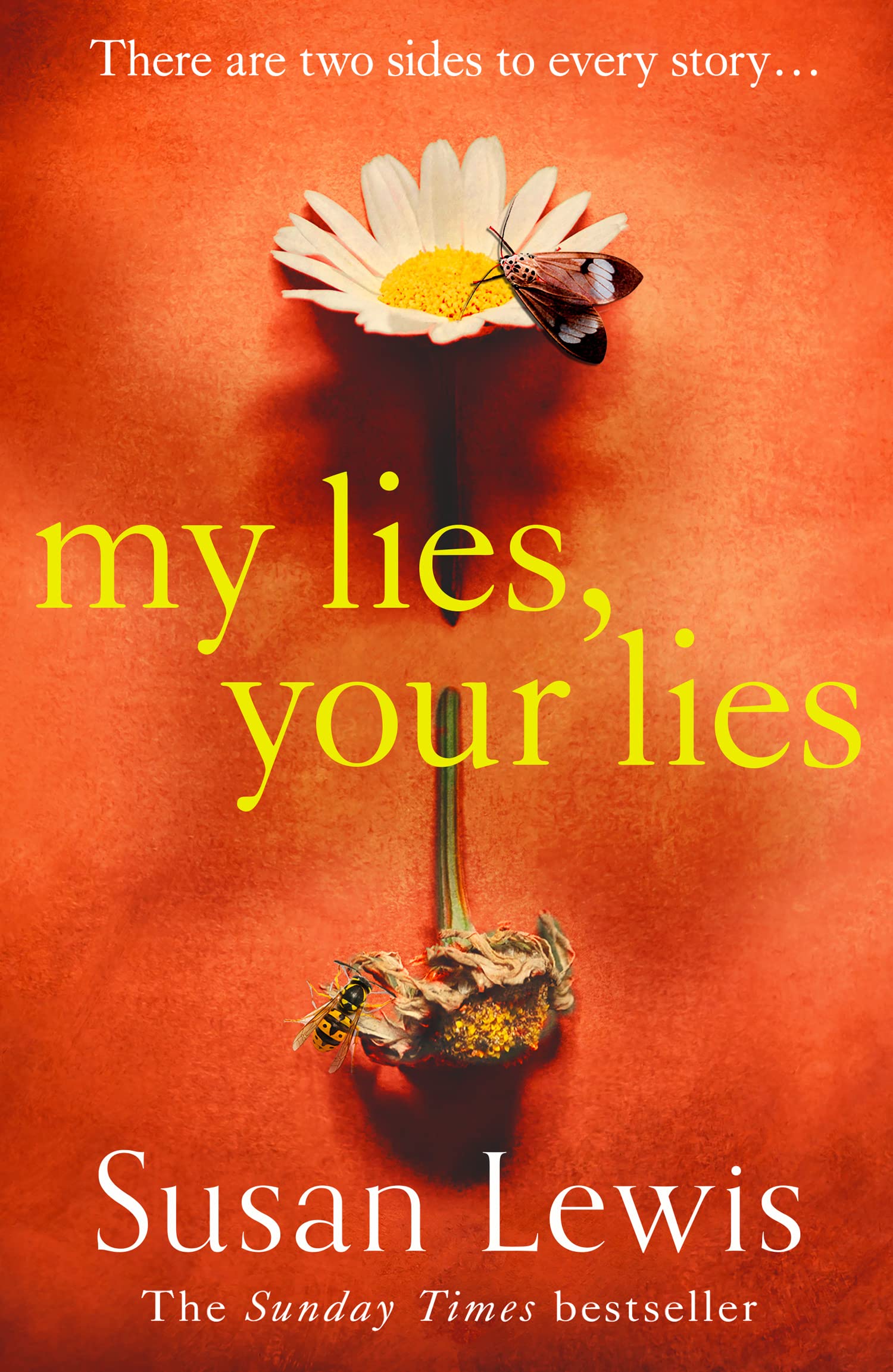 My Lies, Your Lies Paperback – 6 August 2020