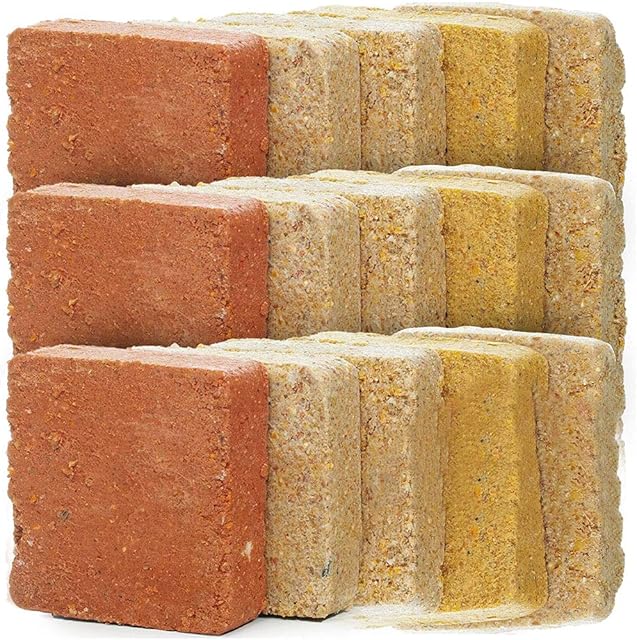 SQUAWK Suet Fat Blocks | Premium Garden Wild Bird Food | Enhanced Formula | Naturally Blended, High in Energy & Protein-Rich Feed | Full of Nutritious Fat Fibre & Moisture (Peanut, 3)