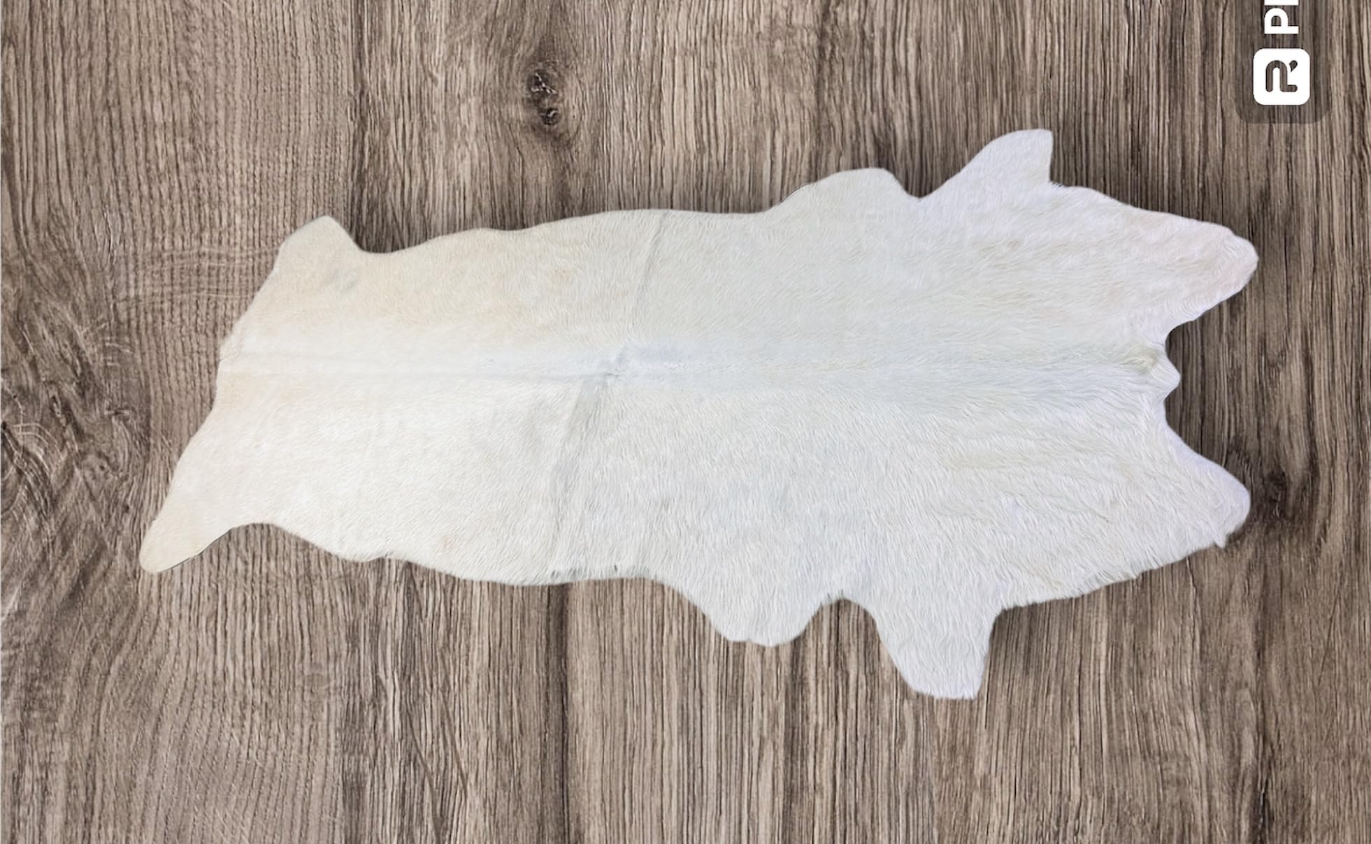 Echter Kuhfell Teppich klein, Handgefertigt in Deutschland, geruchsneutral, Rinderfell ideal fr Wohnzimmer Esszimmer Flur (Chrystal Weiss, 160x70cm)
