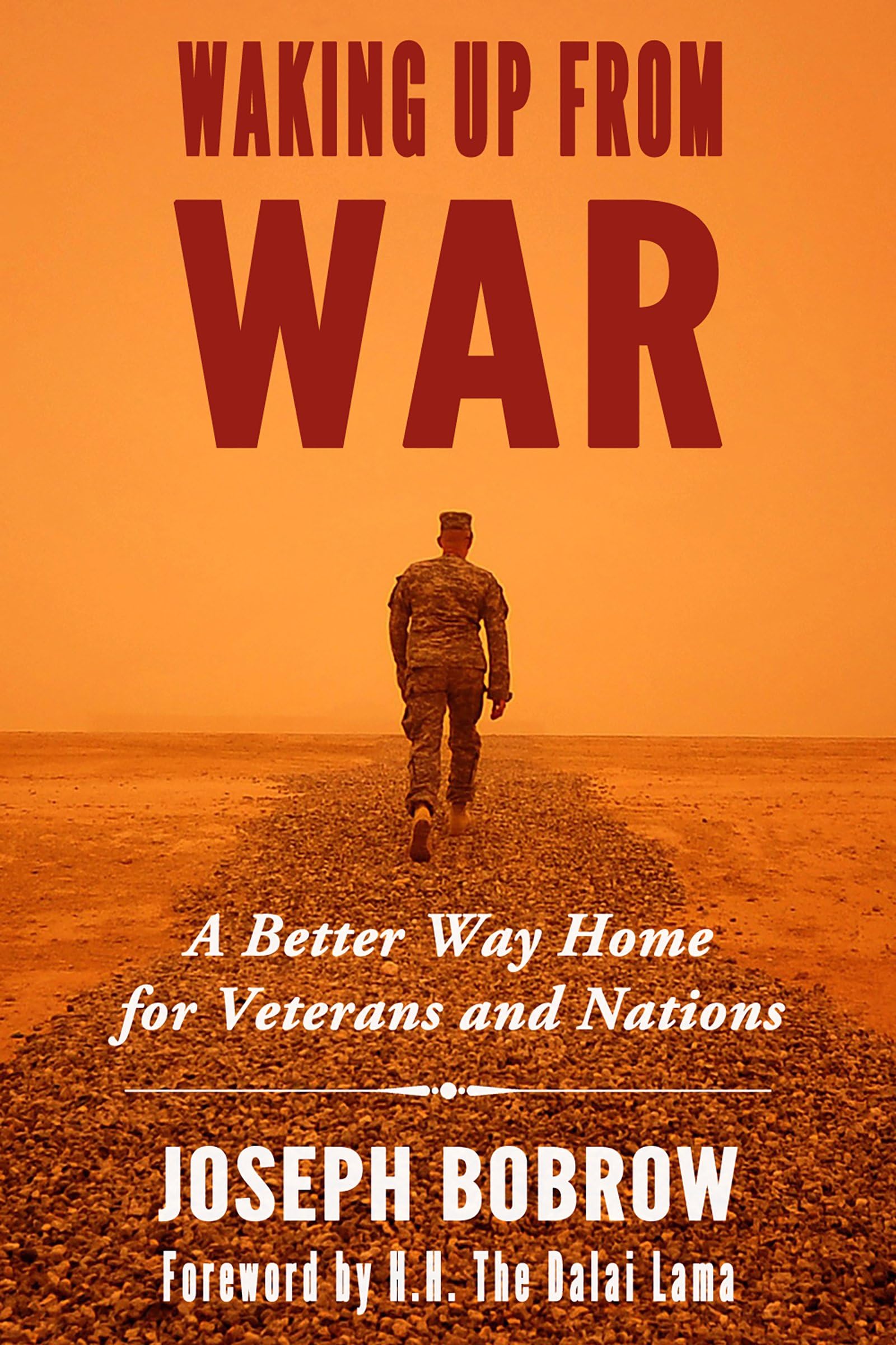 Buy Waking Up from War: A Better Way Home for Veterans and Nations — BookShops.in