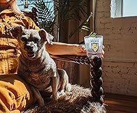 Vista 5 de Silver Buffalo Ted Lasso - Mini vasos de 10 onzas, juego de 4 vasos de whisky para bar en casa, cocina