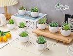 Der Rose 9Pcs Artificial Plants Small Fake Succulent Plants in Pots for Bathroom Office Desk Shelf Decor