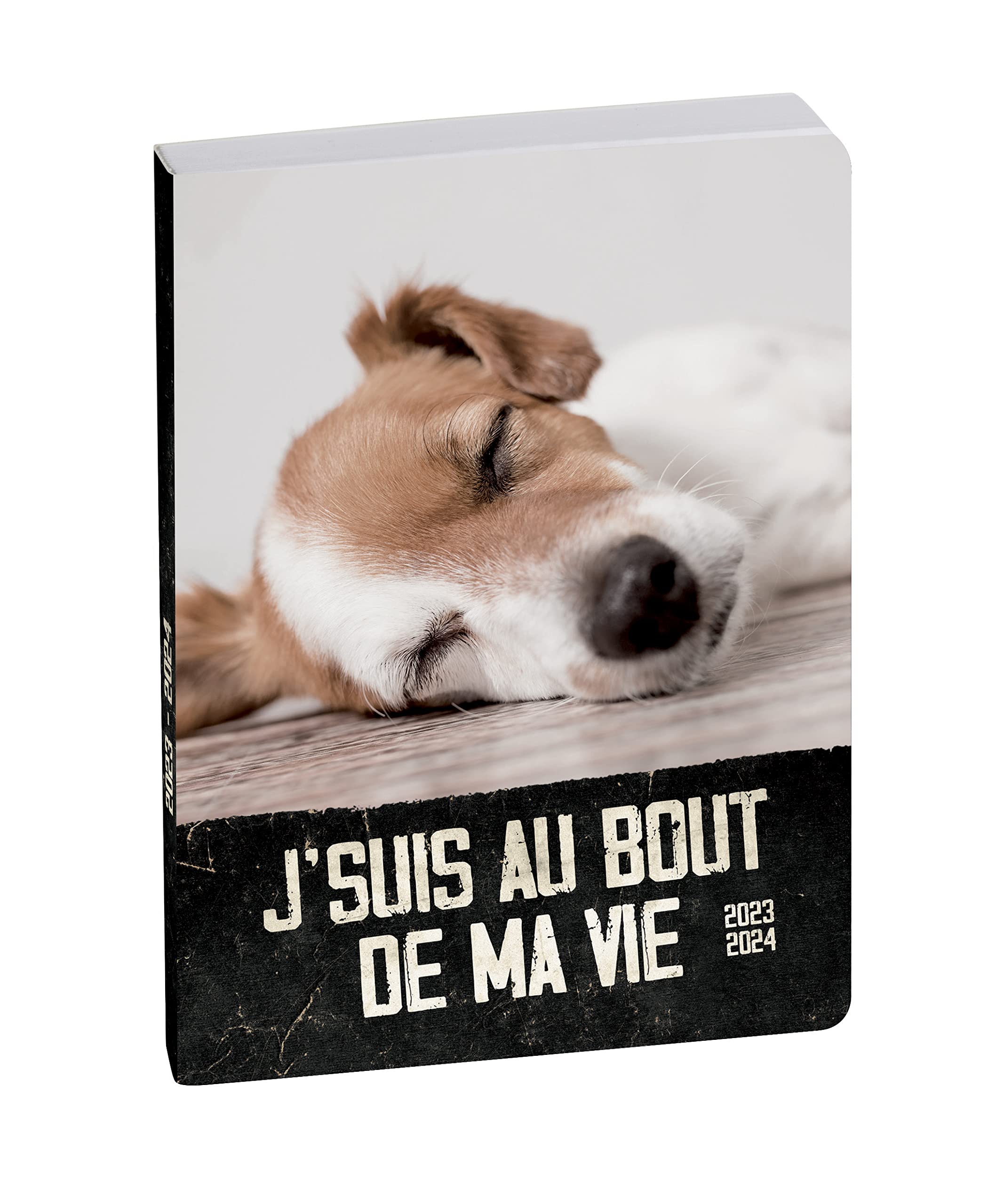 Agenda Escolar 2025-2026 Funny Pets Chat (12x17 Cm) - Diario De Agosto A Julio Con Papel Clairefontaine