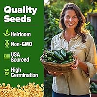 Vista 217 de HOME GROWN Más de 1000 semillas de cilantro para plantar en interiores o exteriores, hierbas tradicionales sin OMG, semillas de plantas de cilantro