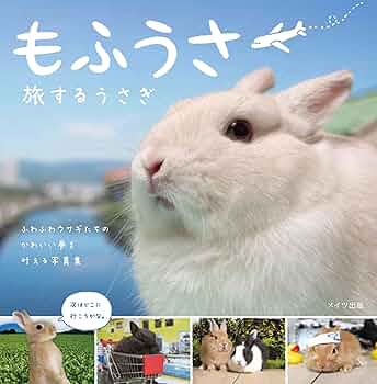 81Gu-iX1uiL._AC_UF350,